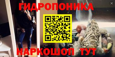 СК Славгород