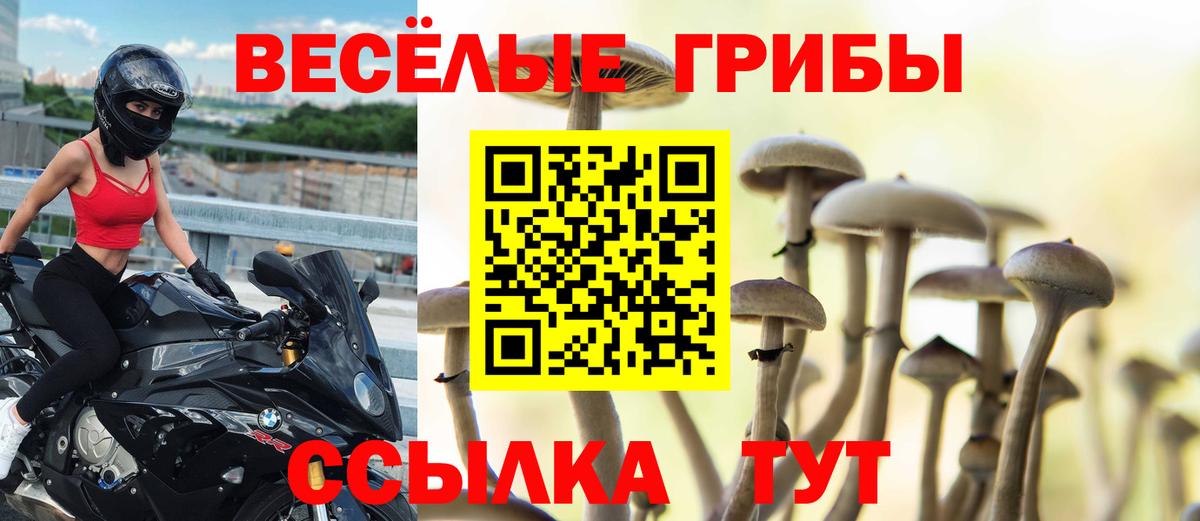 где можно купить наркотик  Вход с VPN  Дальнегорск  Галлюциногенные грибы мухоморы  Псилоцибиновые грибы мухоморы 